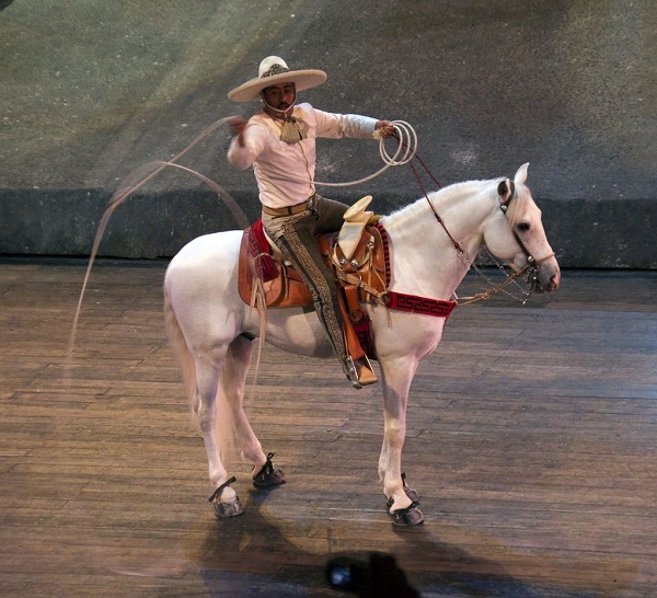 caballo2
